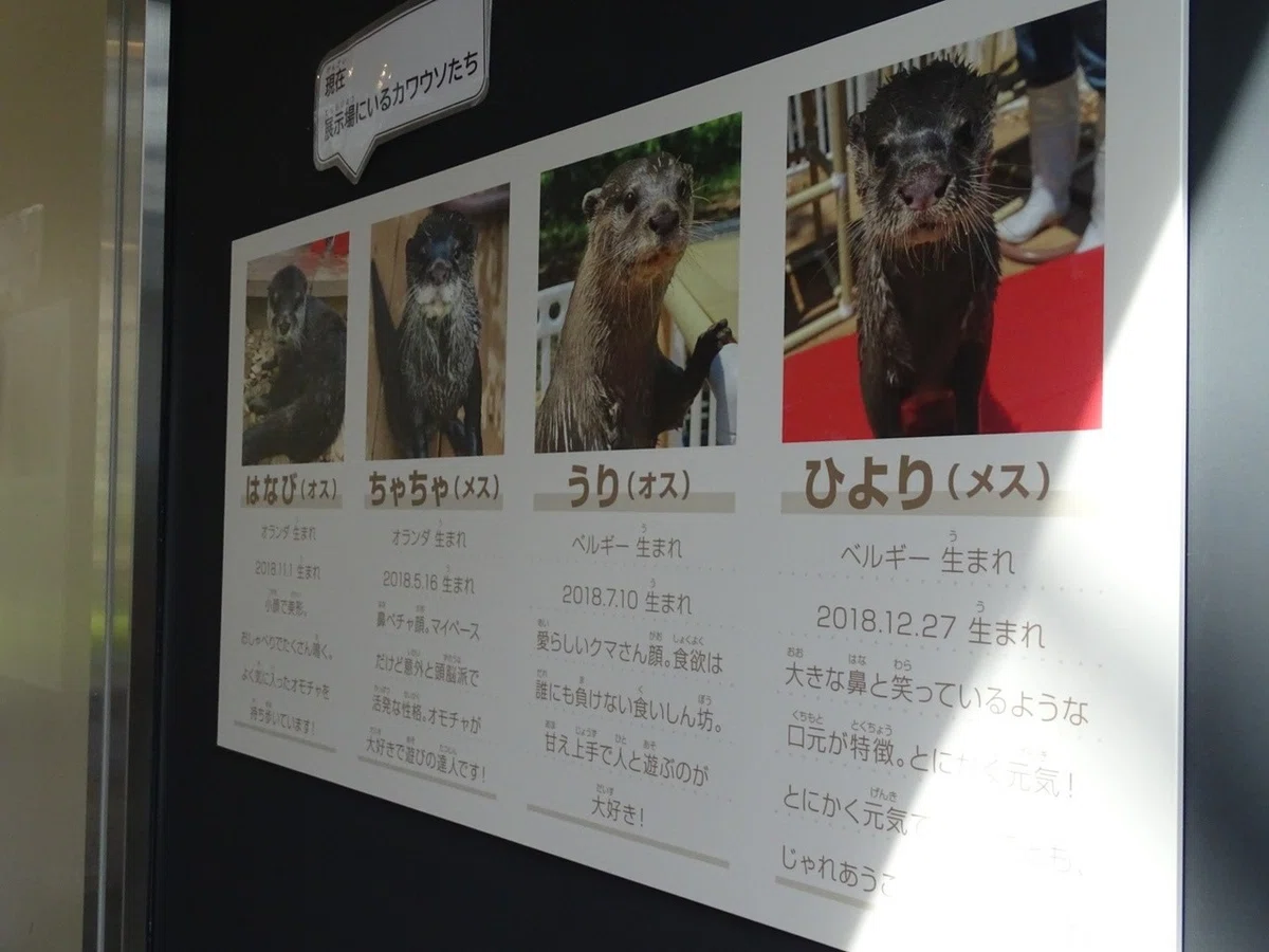 画像7