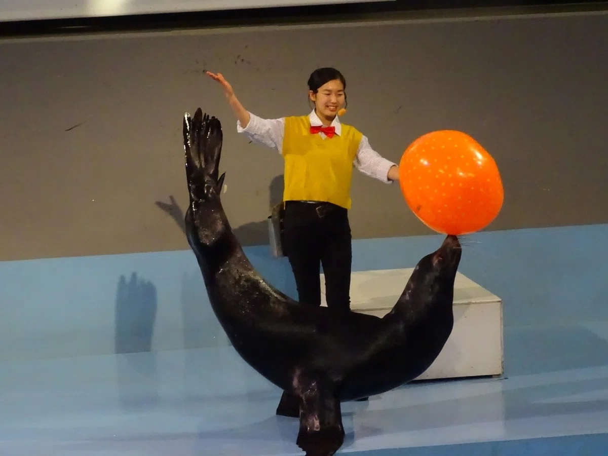 画像31