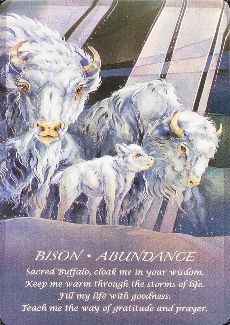 天秤座 今週のオラクルカード占い 11 16 あおしま Note