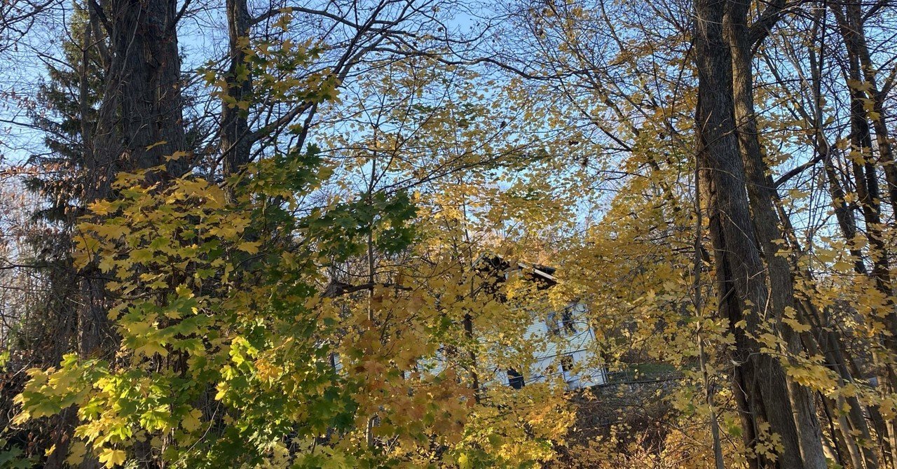 11月15日 Cakesの再び炎上案件について 大統領選挙のゴタゴタを一度俯瞰で見てみる 佐久間裕美子 Note 11月15日 Cakesの再び炎上案件について 大統領選挙のゴタゴタを一度俯瞰で見てみる 佐久間裕美子 Note