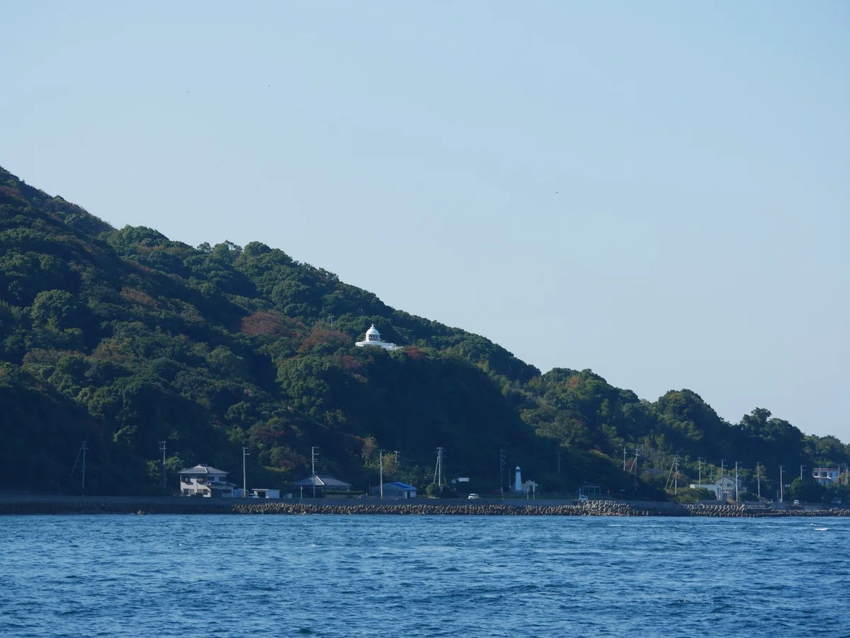 画像7