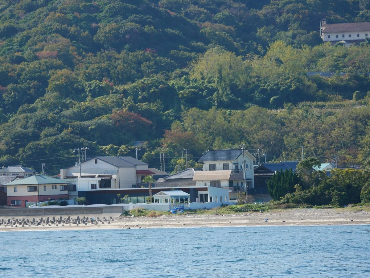 画像7