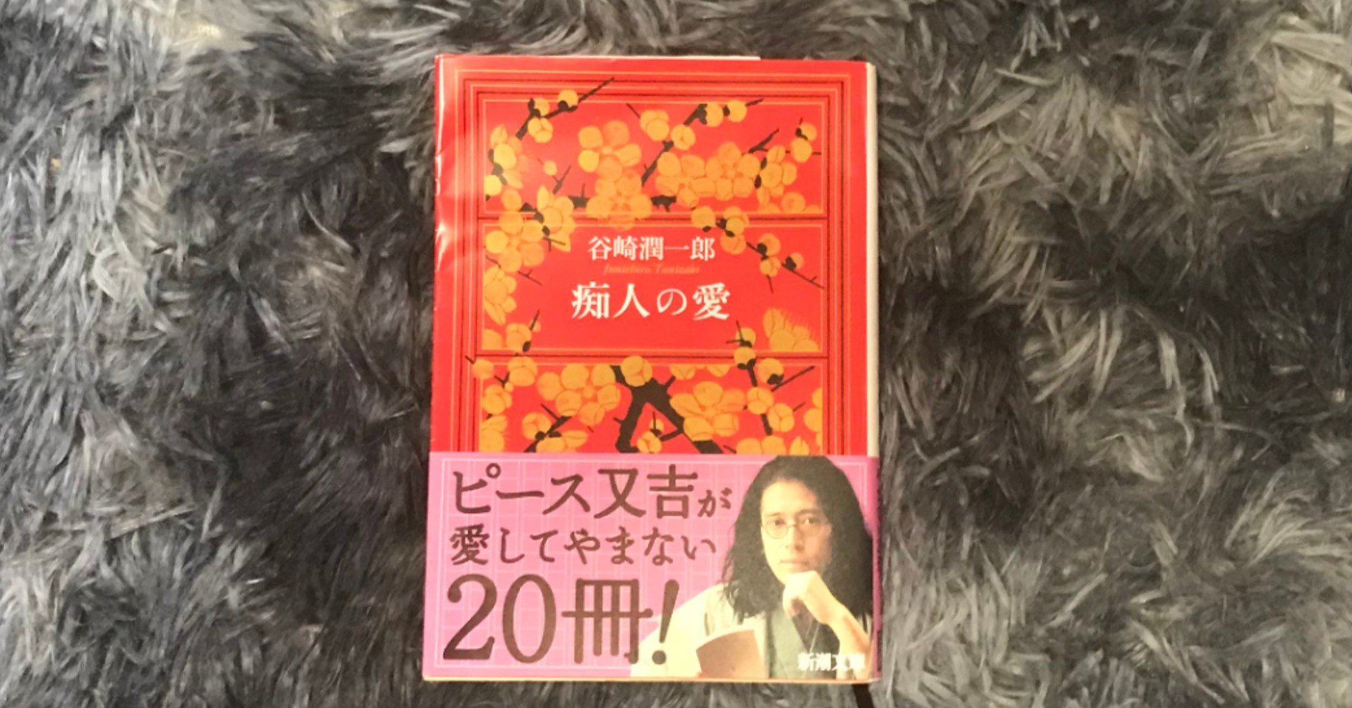 小説 痴人の愛 から学ぶわがまま最強論 このこの お喋りse Note 小説 痴人の愛 から学ぶわがまま最強論 このこの お喋りse Note