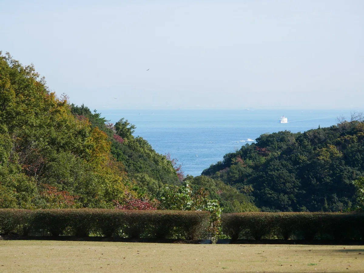 画像14