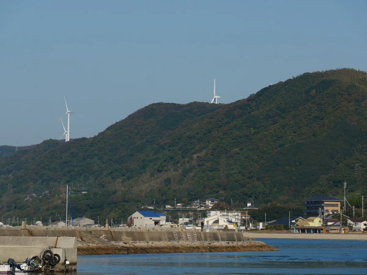 画像31