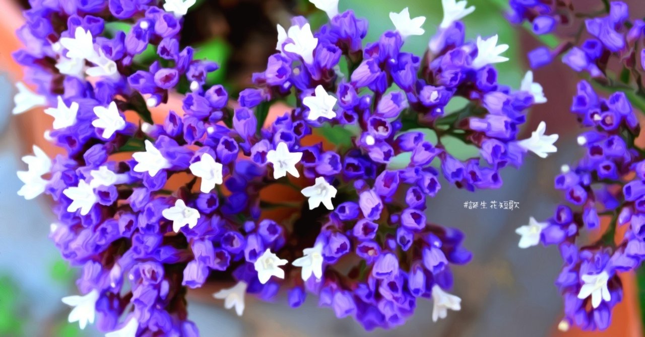 rectangle_large_type_2_f613749