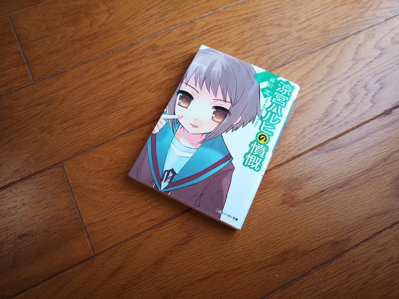 読書 涼宮ハルヒの憤慨 シリーズ8 501kobayashi Note 読書 涼宮ハルヒの憤慨 シリーズ8 501kobayashi Note