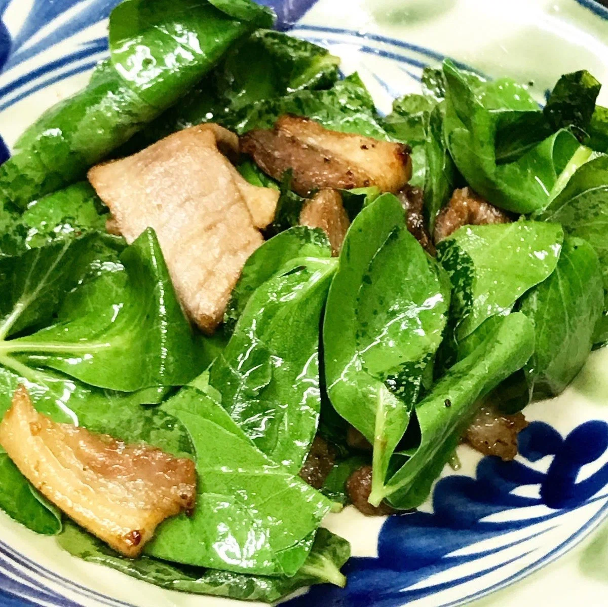 沖縄の野菜 サクナ 長命草 についてチャレンジ21日目 11 16 ヘイプー店長 Note 沖縄の野菜 サクナ 長命草 についてチャレンジ21日目 11 16 ヘイプー店長 Note