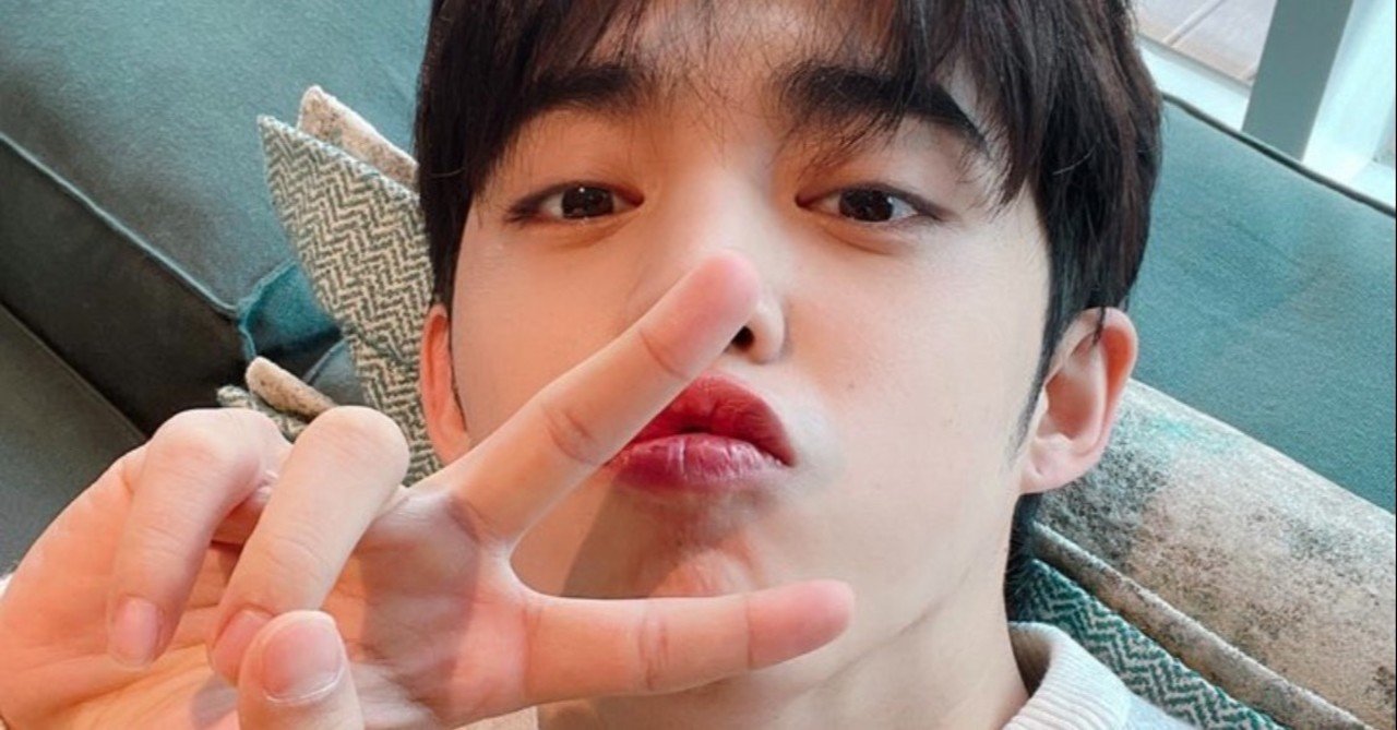 【7月中最終値下げ】 SEVENTEEN ヨントン ジュン SEVENTEEN(セブチ)ジュンの愛称が壮大すぎる？！大陸の奇跡やにんじん