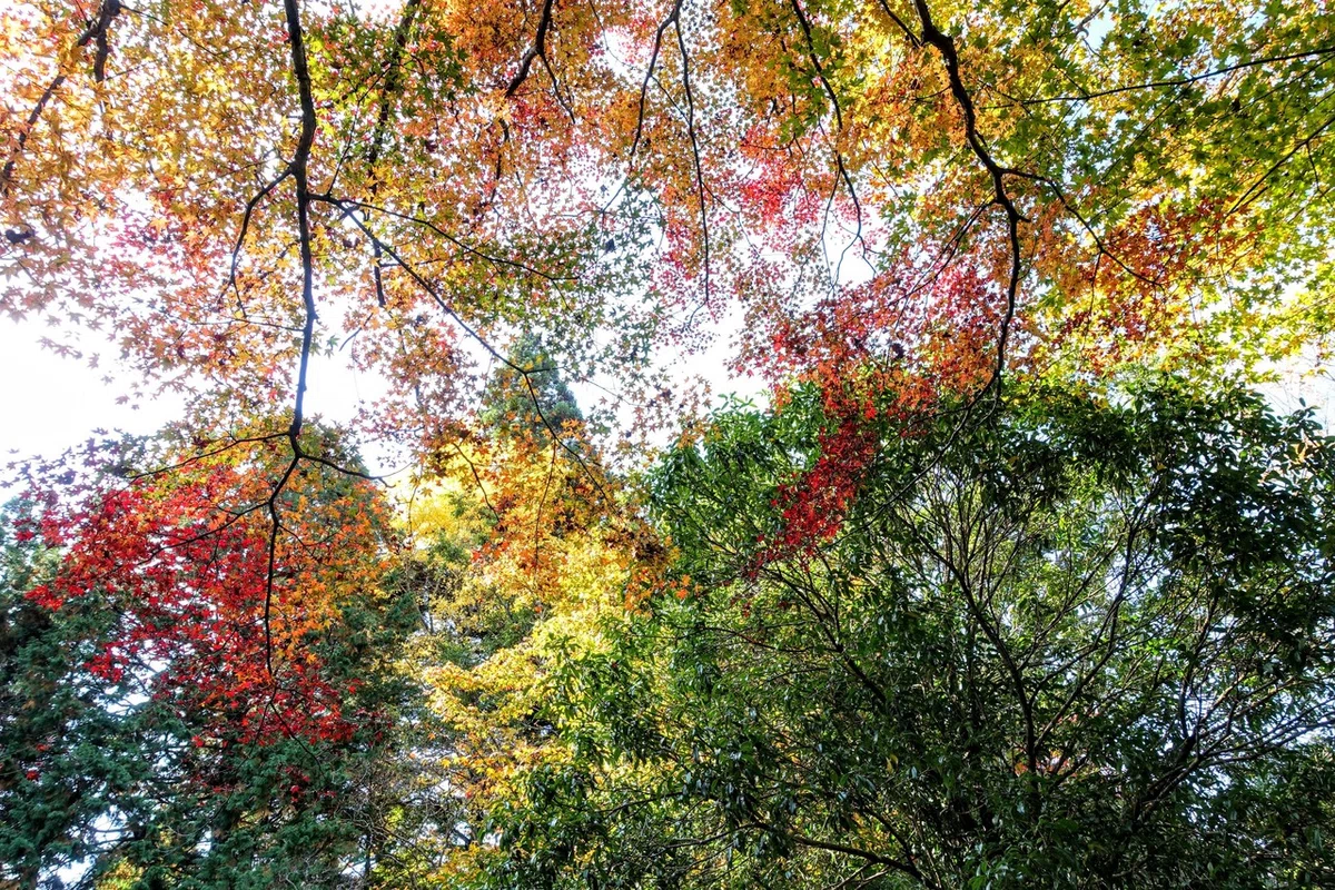 画像8