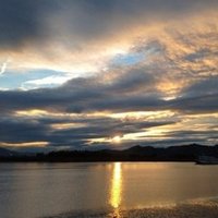 捕まらないメタング 麒麟児 Note