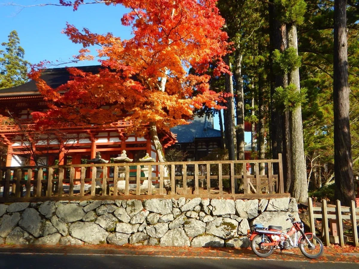 画像2