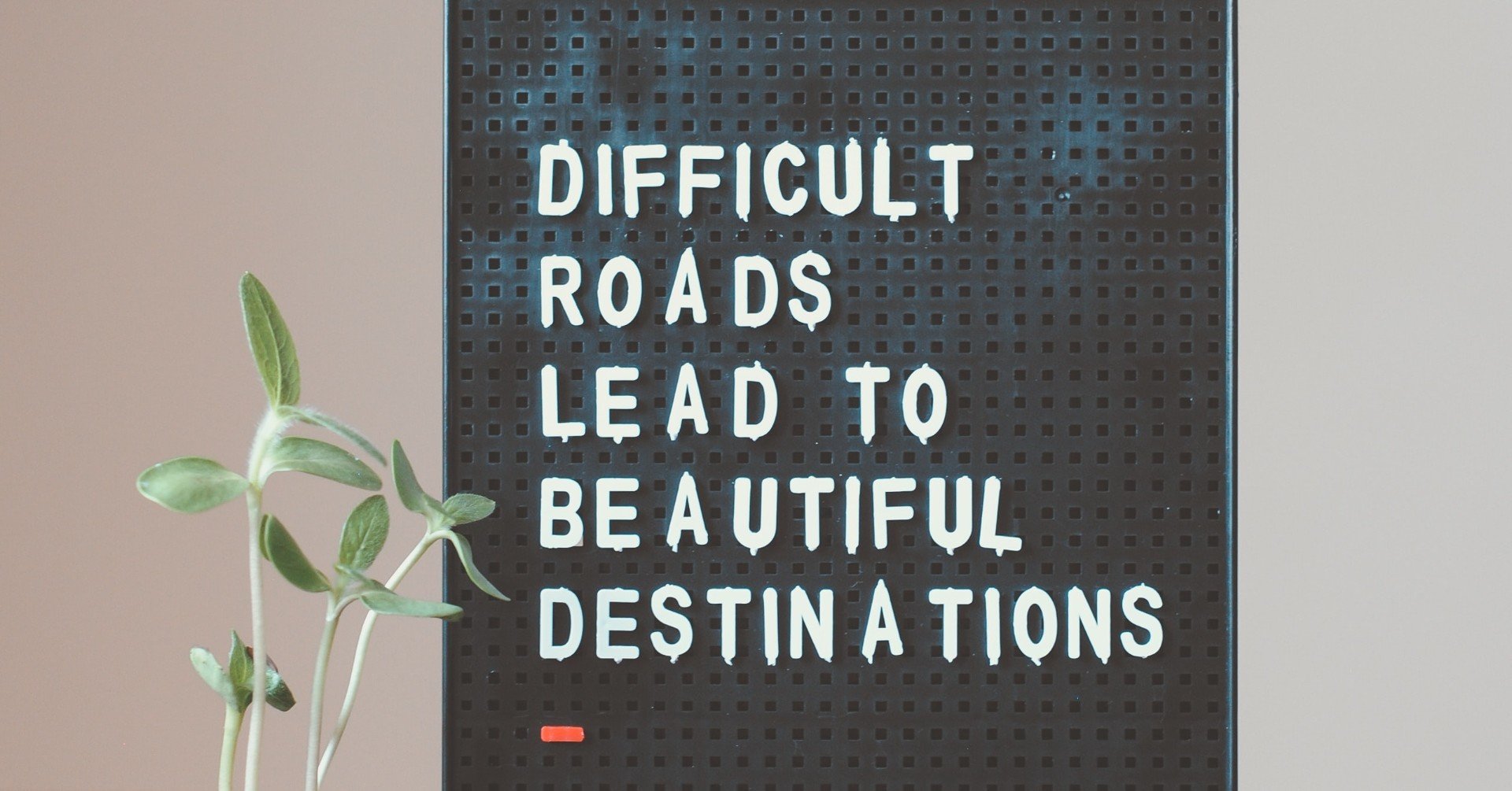 やりたいことはすべてできる ゆかりん 英語サロン カレッジ オーナー Note