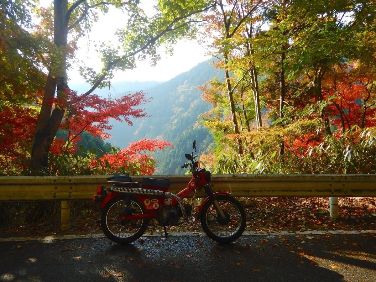 画像8