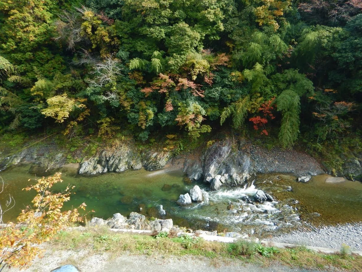 画像25