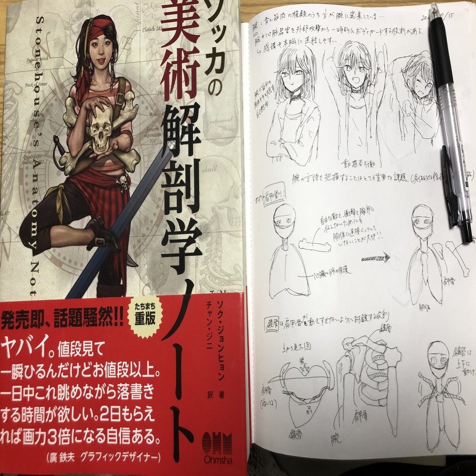 練習内容公開 イラストを100日練習しました 燕禅 Note