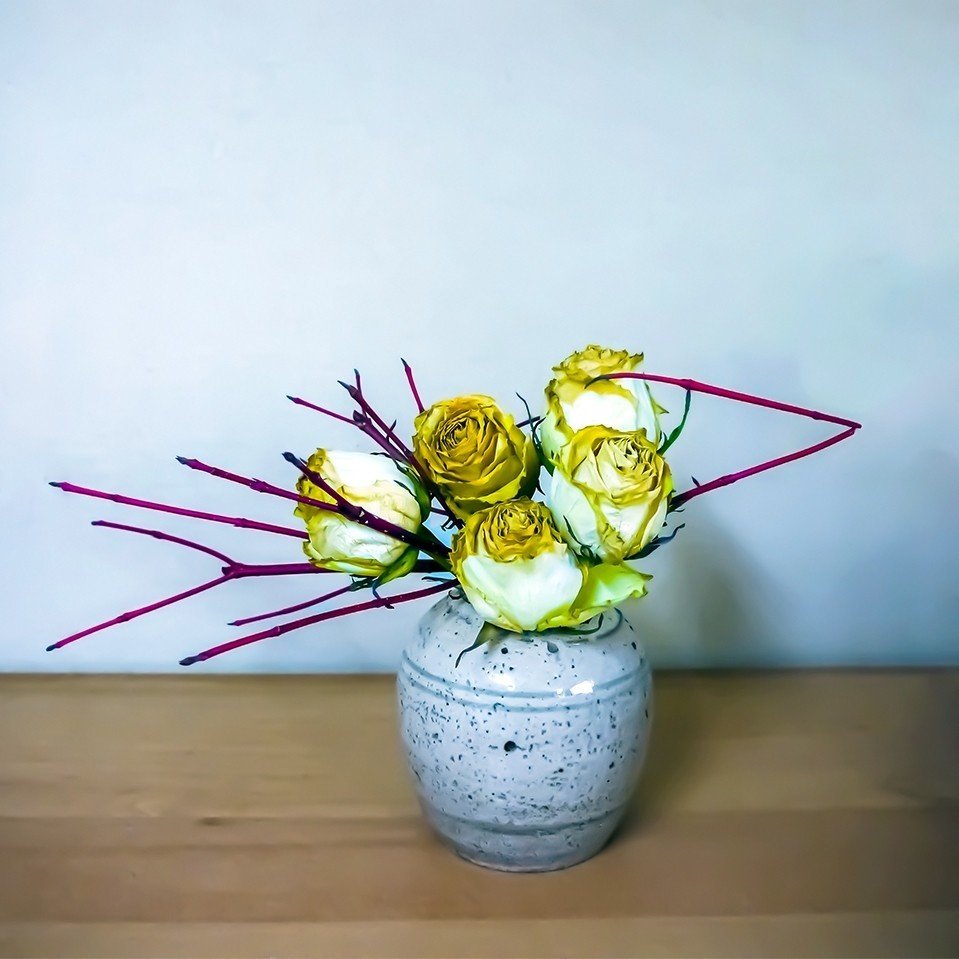 枯れたバラとサンゴミズキ Siberian Dogwoods And Dead Roses Taiju Kuba Note 枯れたバラとサンゴミズキ Siberian Dogwoods And Dead Roses Taiju Kuba Note