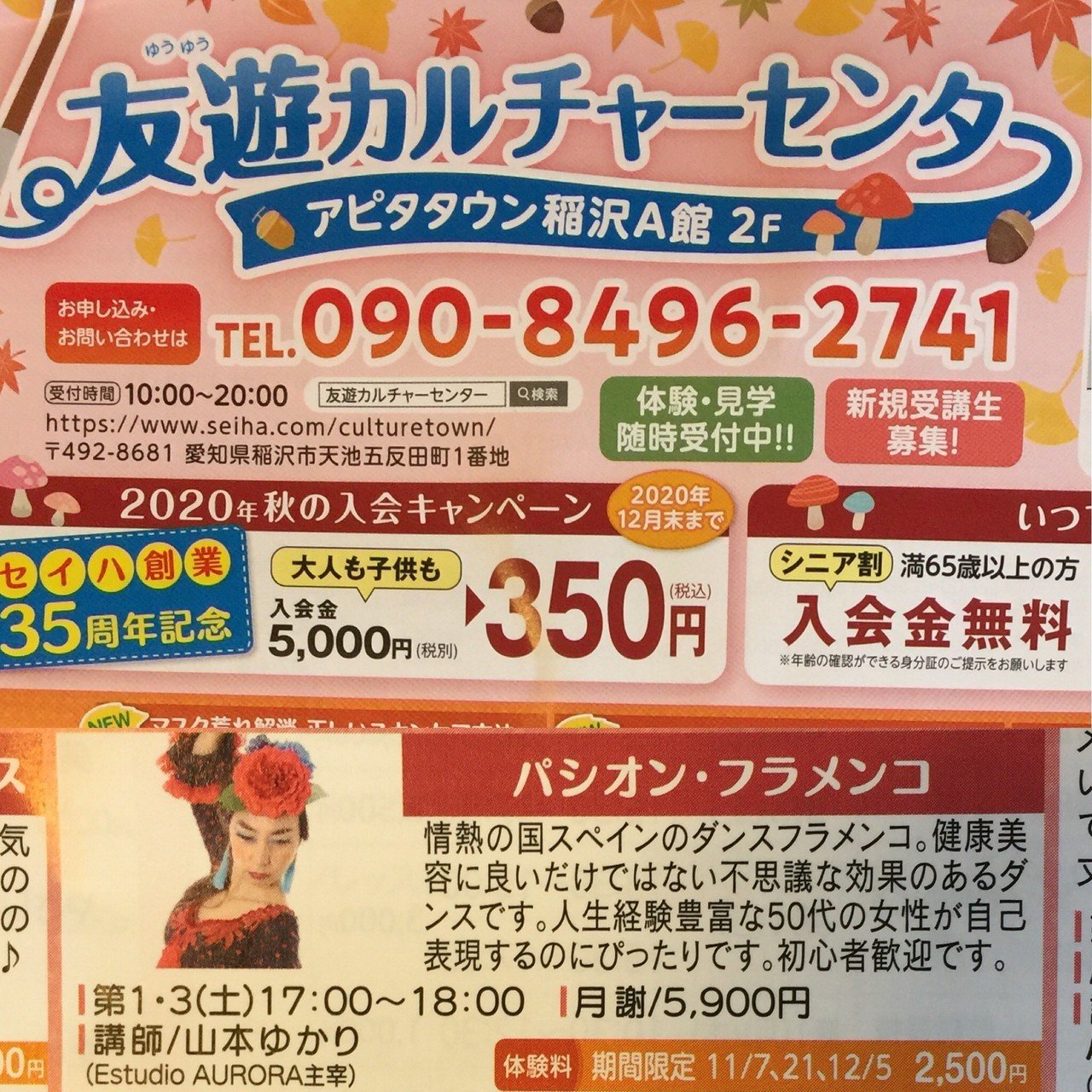 ソニアジョーンズ 練習用ファルダ ソニアジョーンズさんの練習用ファルダ｜フラメンコダンサー山本
