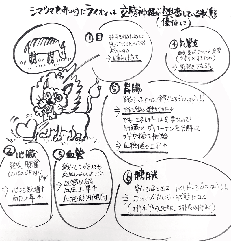ストレスの影響をうける自律神経 Herb日和 栄養 養生で元氣なからだ Mindつくり Note ストレスの影響をうける自律神経 Herb日和 栄養 養生で元氣なからだ Mindつくり Note