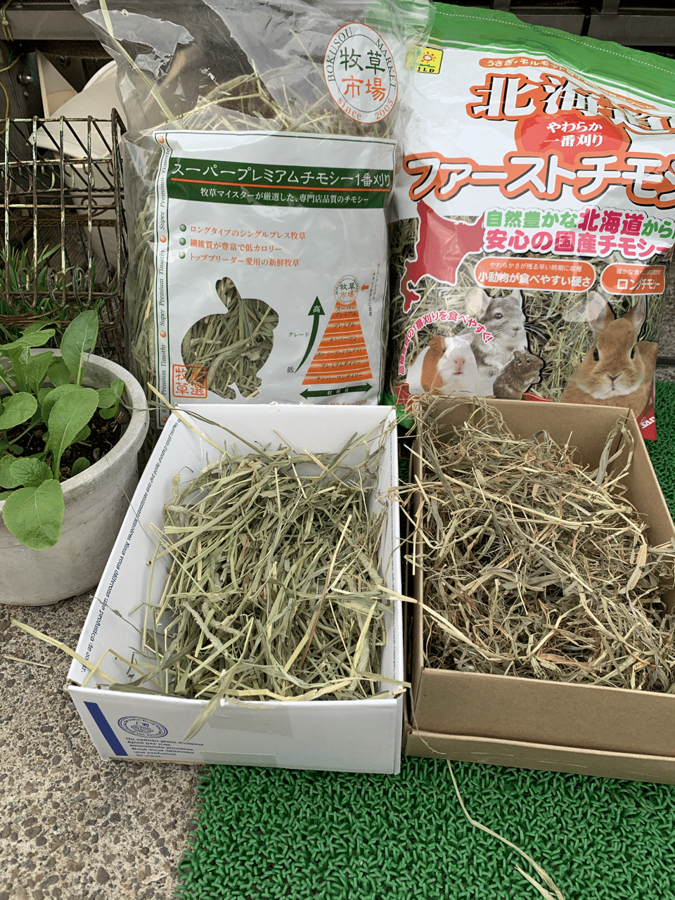 牧草は2種類 Tomysato0411 Note