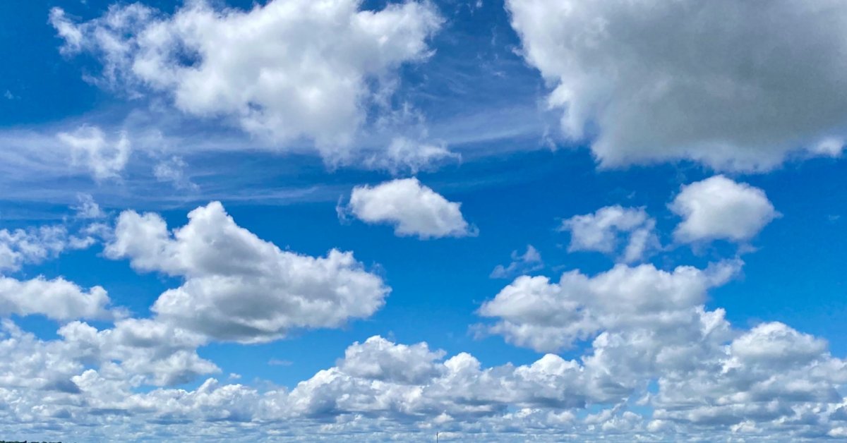 空を見て、「空きれい」って、言いたいね。｜なずなはな 