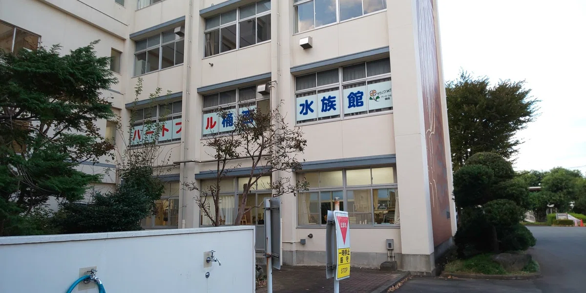 画像1