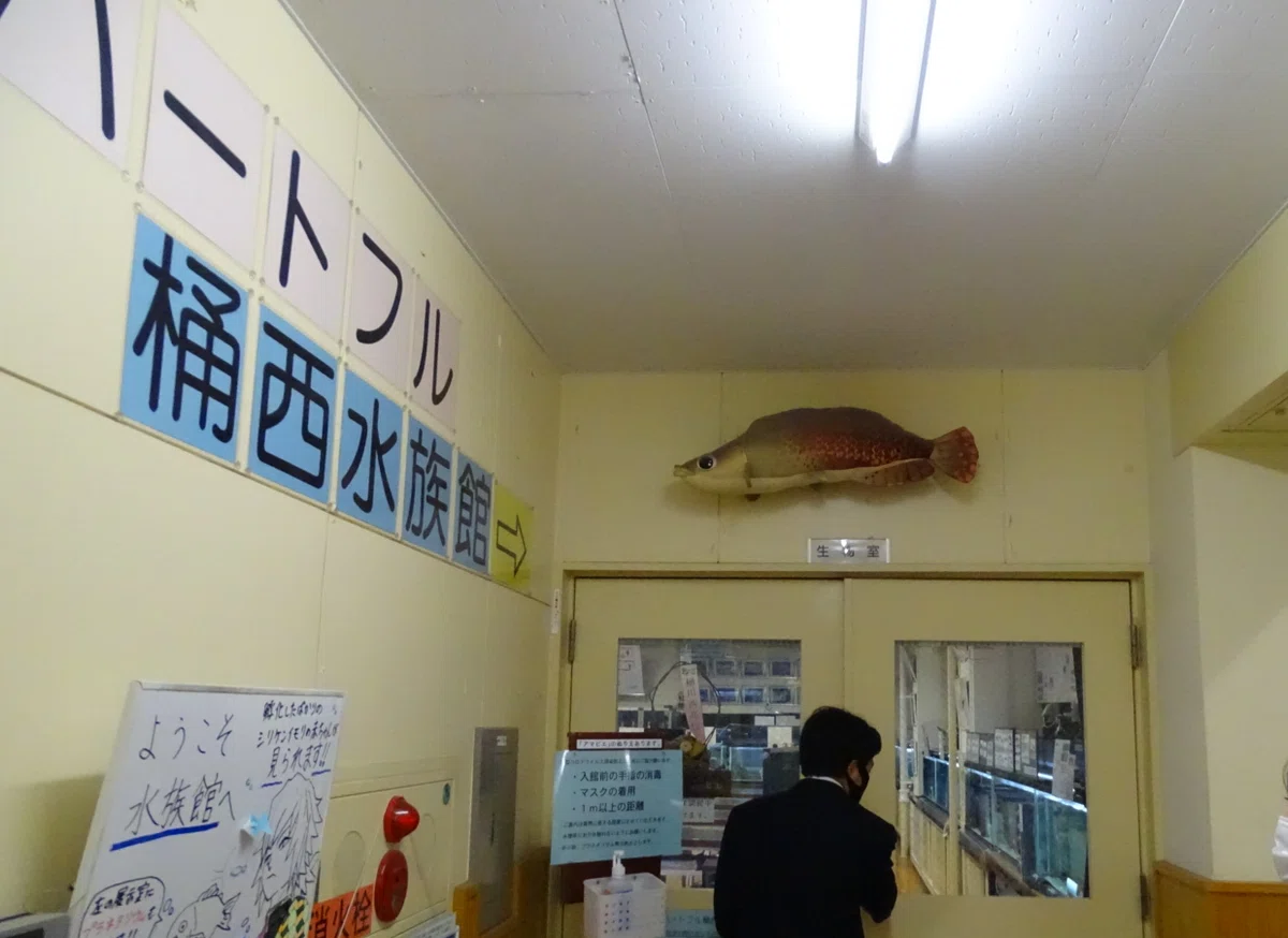 画像6