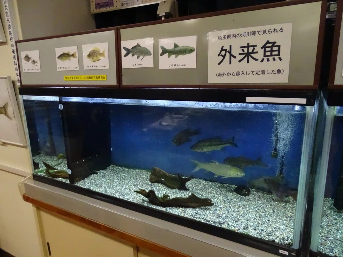画像10