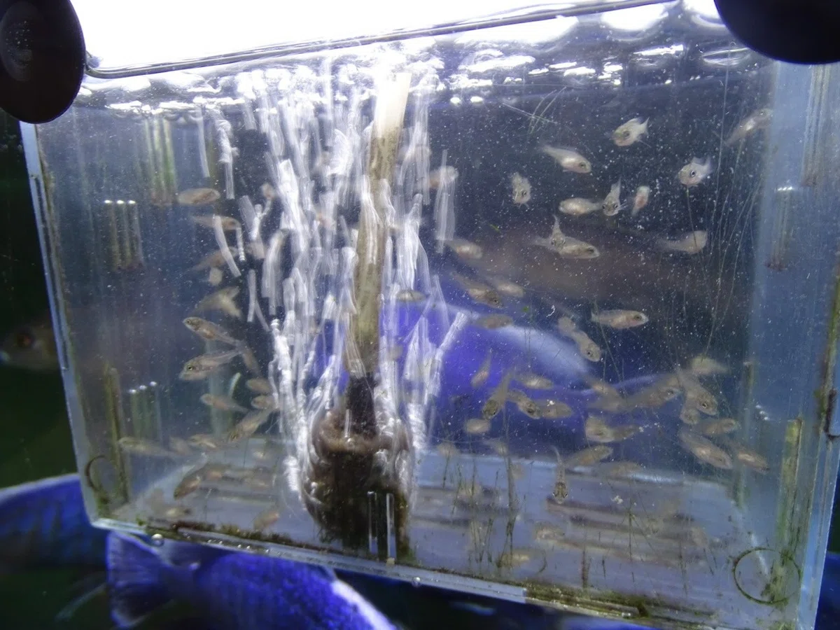 画像13