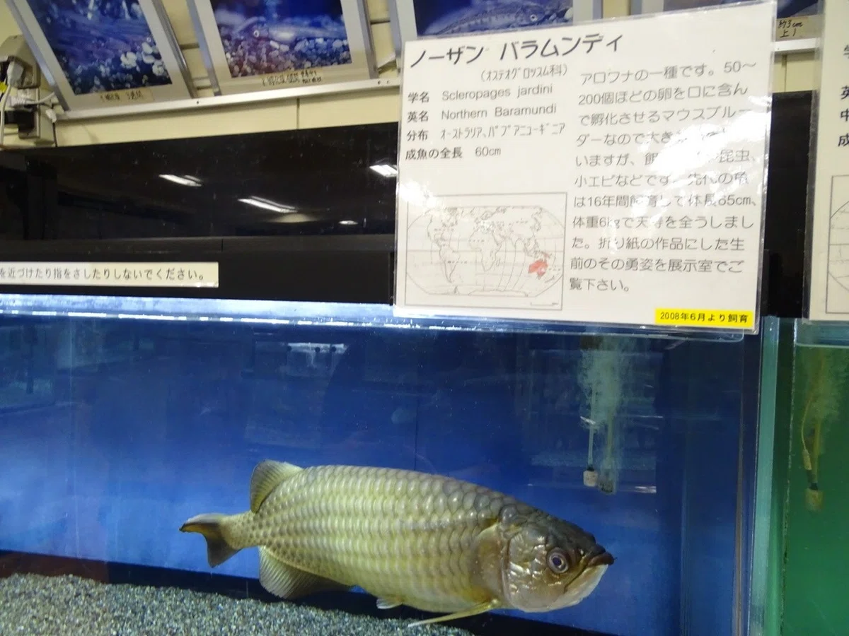 画像19