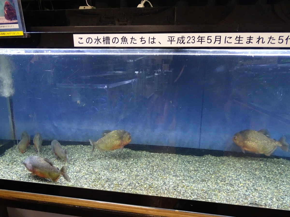 画像21