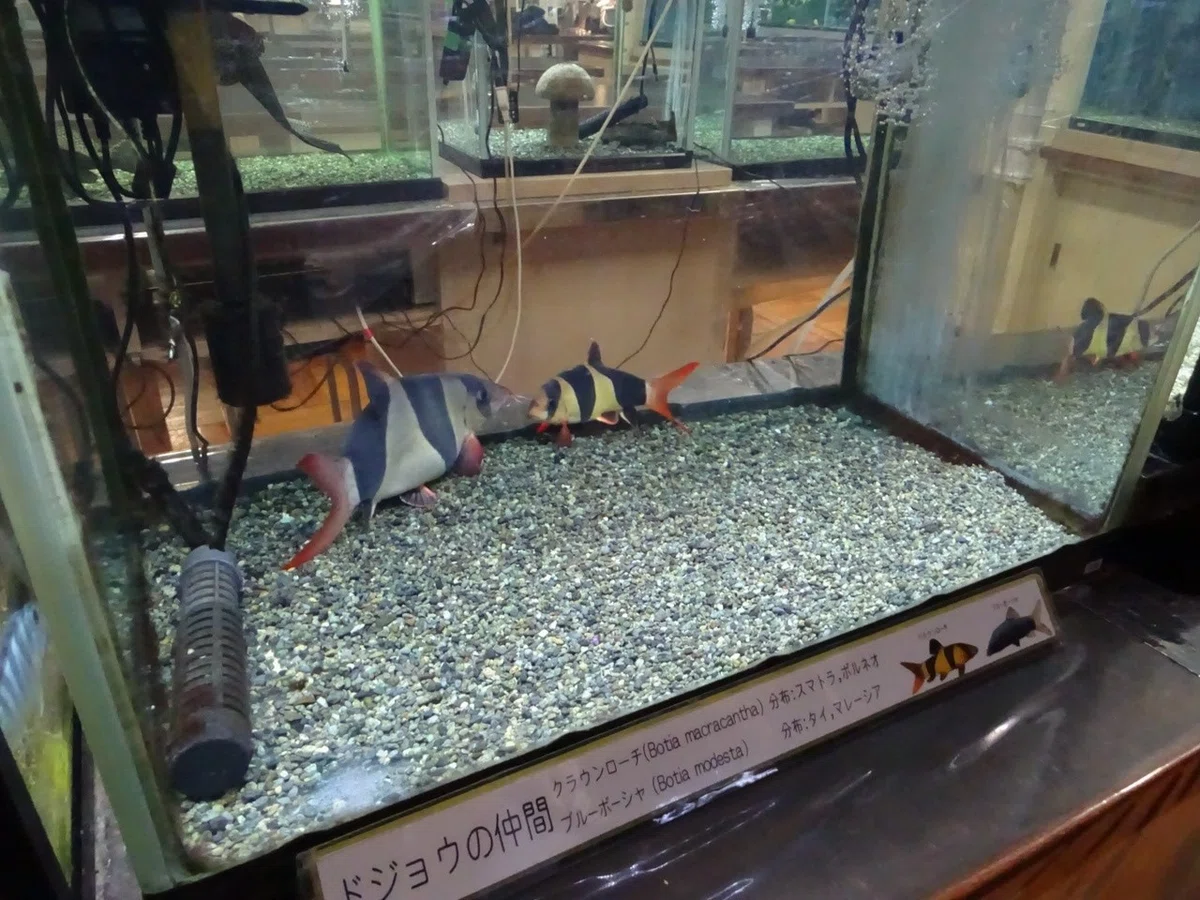 画像22