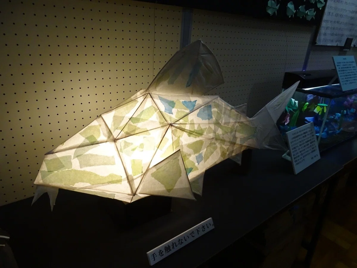 画像24
