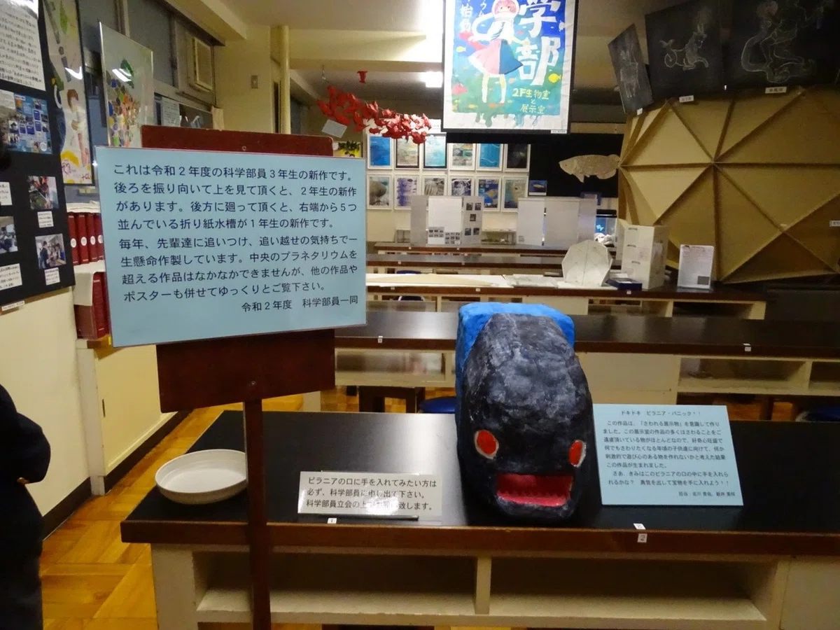 画像26