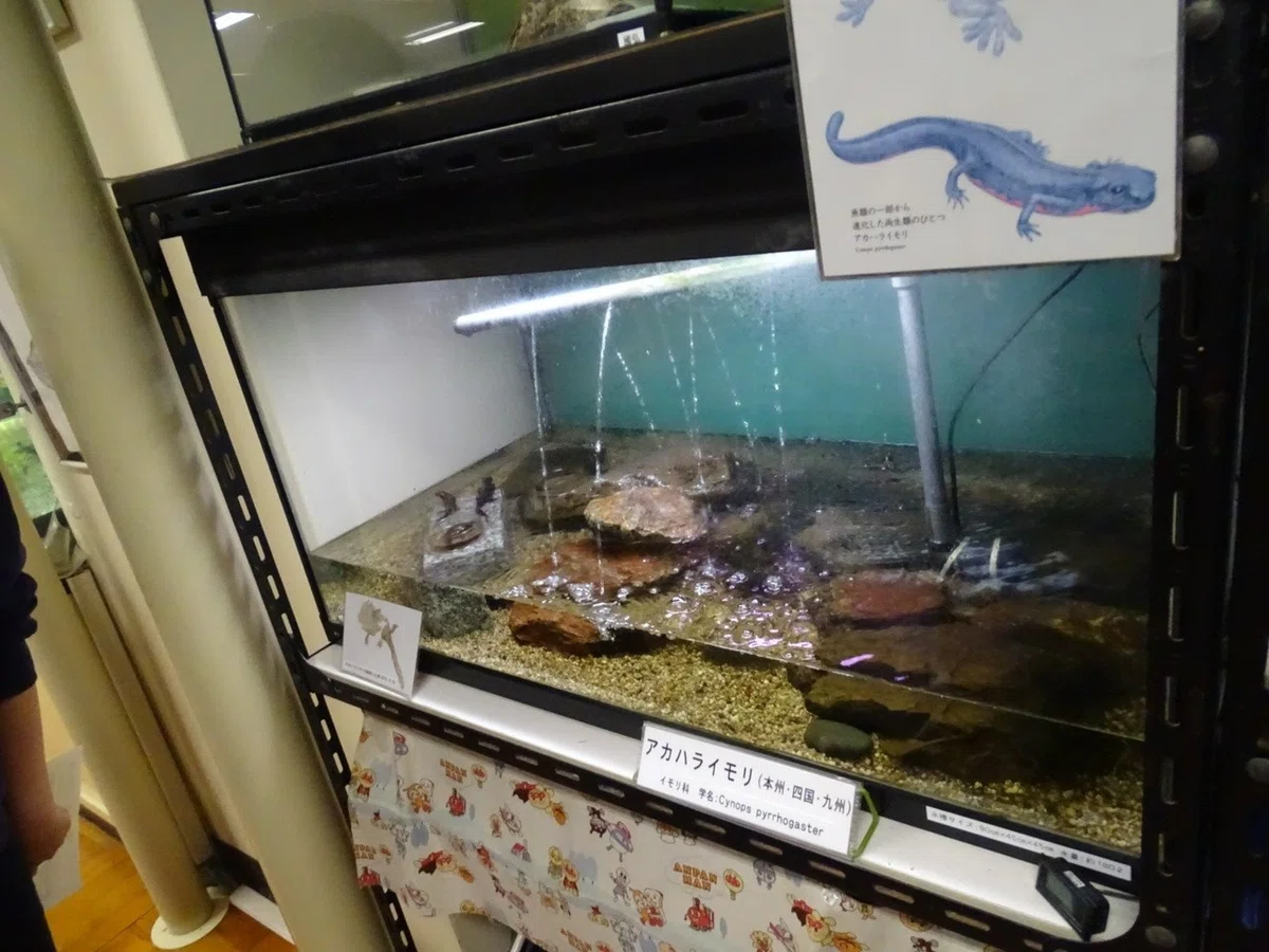 画像28