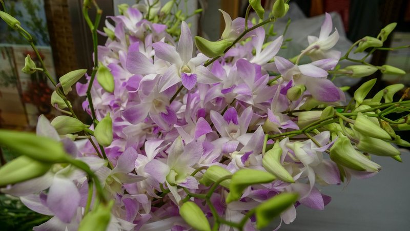花つた 南魚沼 花屋 お花 フラワー プレゼント ギフト お祝い 自宅用 南魚沼サービス店会 加盟店紹介 Note