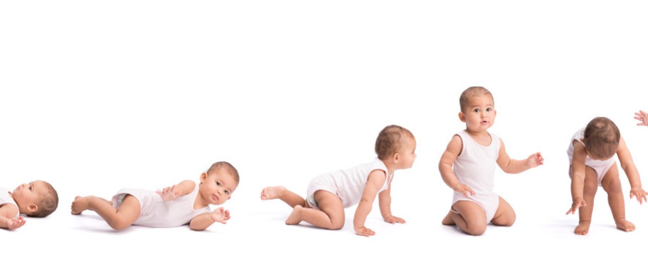 運動行動の発達(The development of motor behavior) 姿勢