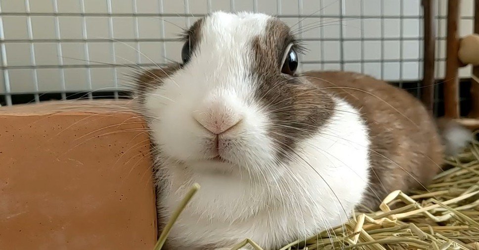 b10376ce585771f8e76dde44d59ac1