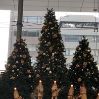ネタバレ注意 告白予行練習 感想 陽帆 Note