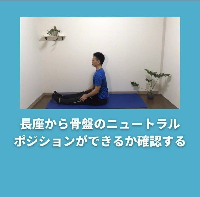 骨盤を立てるには トレーナーの 運動指導の教科書 Note 骨盤を立てるには トレーナーの 運動指導の教科書 Note