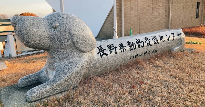 動物について学べる 触れ合える 長野県動物愛護センター ハローアニマル 田口彩人 長野県佐久移住2年生 Note 動物について学べる 触れ合える 長野県動物愛護センター ハローアニマル 田口彩人 長野県佐久移住2年生 Note