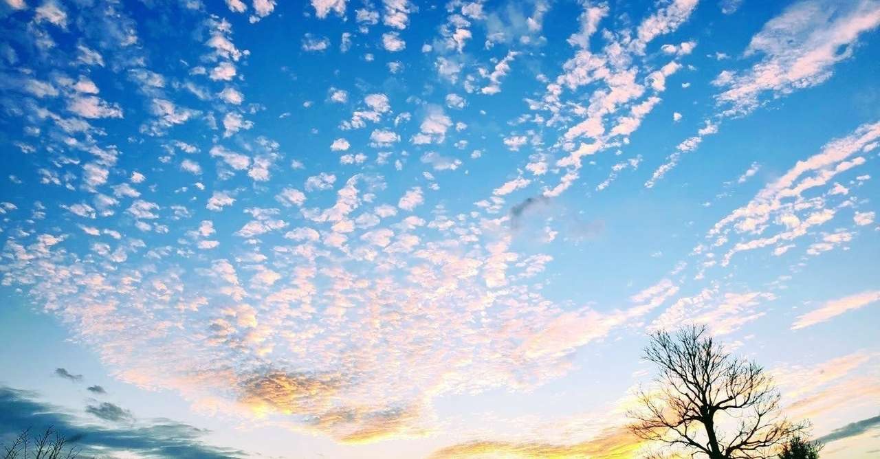 東京学芸大学附属竹早小学校 お受験合格への道 国立小学校お受験21 国立 私立小学校お受験マスター Note