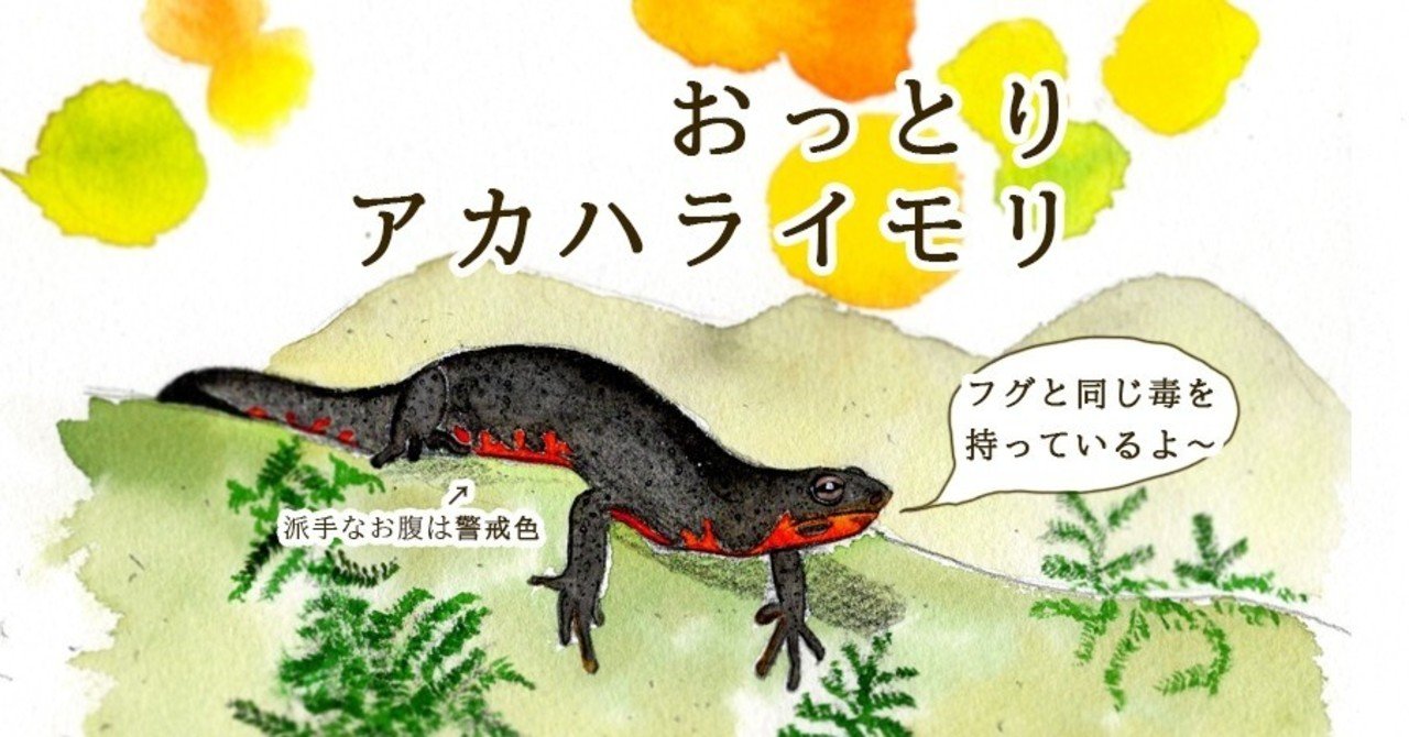 冬眠前のイモリかな Uran Orico Note