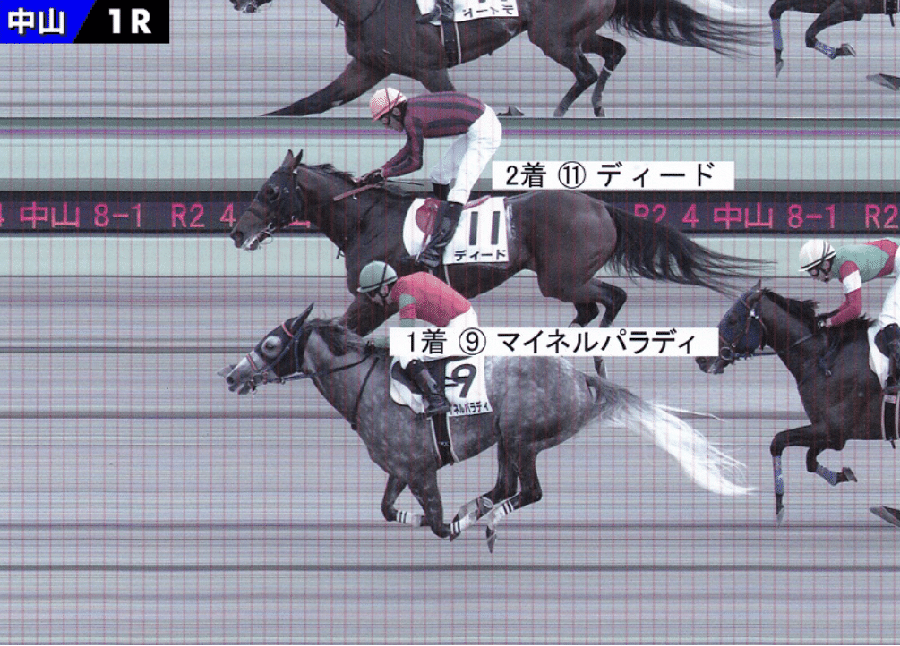 秋陽ジャンプステークス人気馬考察 ゆうぴぃ 競馬 Note 秋陽ジャンプステークス人気馬考察 ゆうぴぃ 競馬 Note