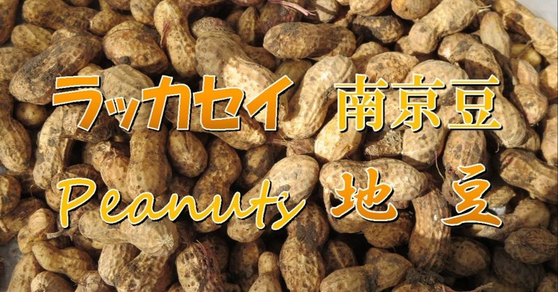 土から離れては生きられないのよ 錬金術師の家庭菜園 Note