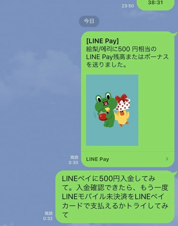 Line Mobile利用代金をline Pay カードで支払う際の落とし穴 Naoko Nomigawa Note