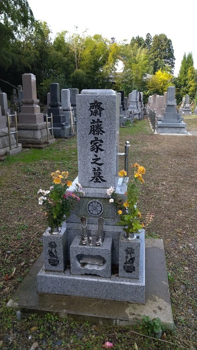 画像7