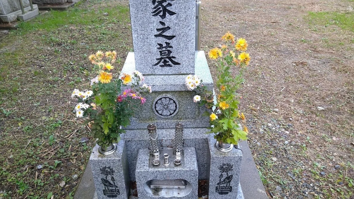 画像8