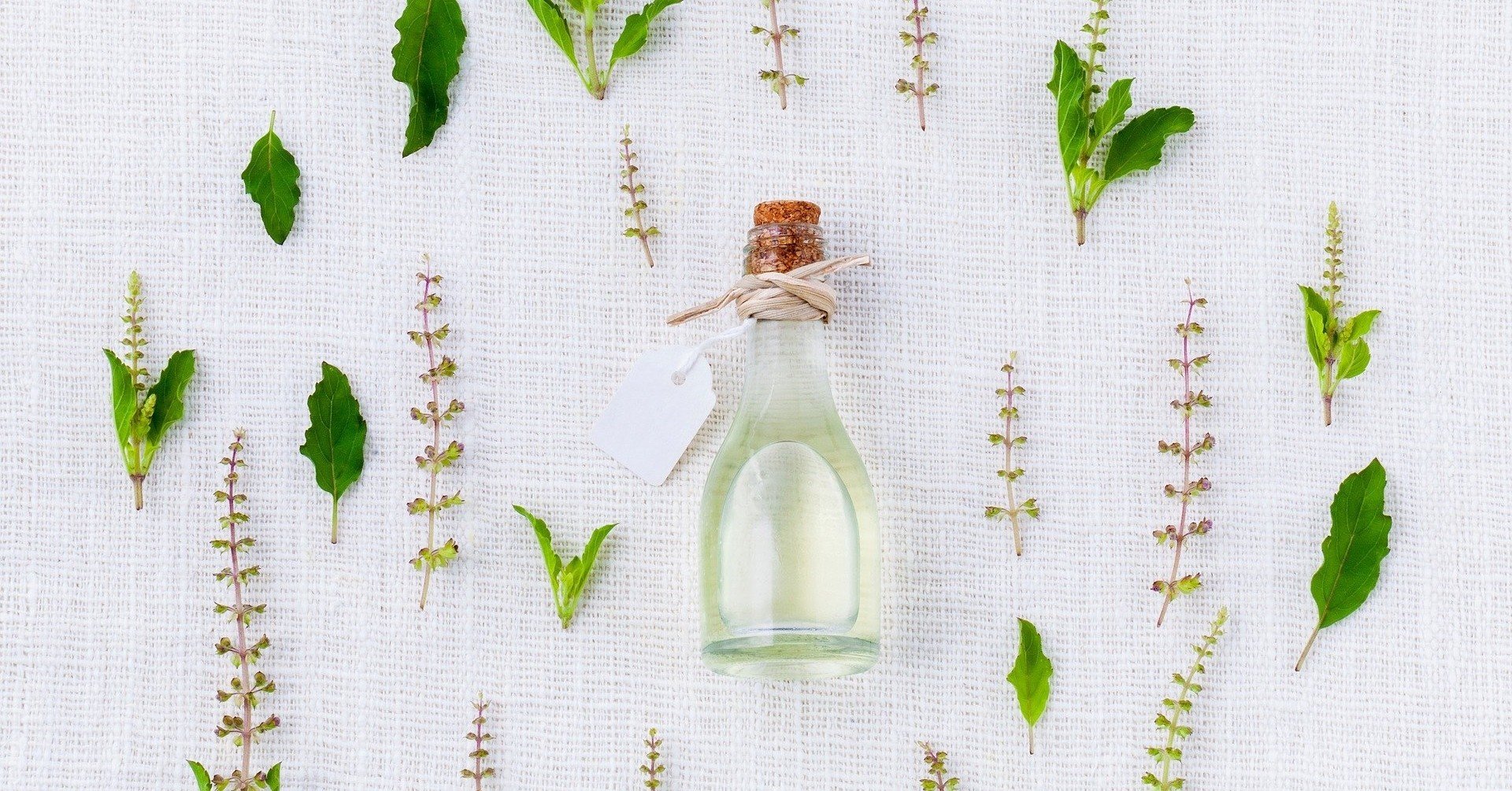 野菜嫌い アレルギー体質でも食べられるダイエット方法 食事についてご紹介 かずにゃん Note