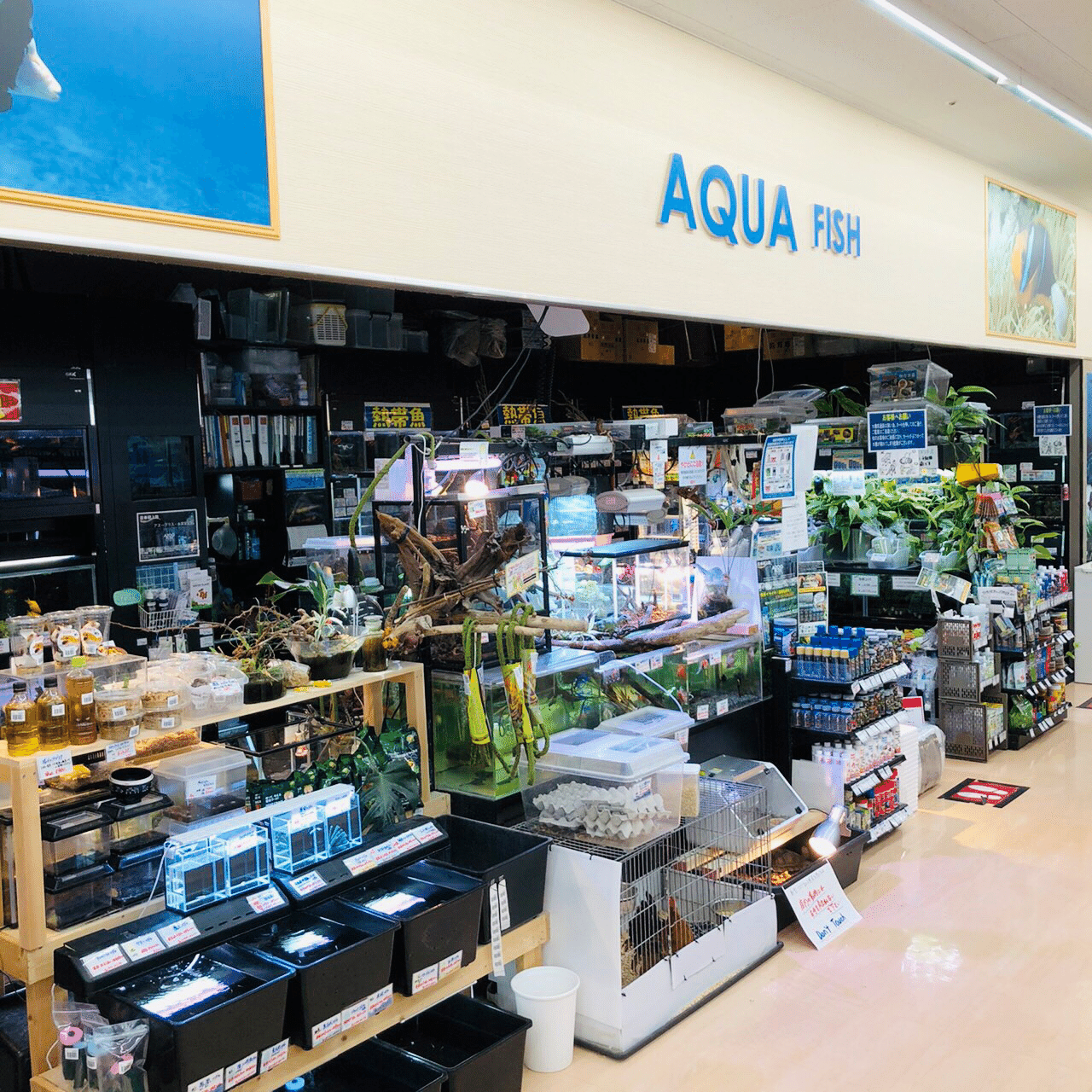 マッドマン仙川店 有限会社フィッシュファームツボタ Note